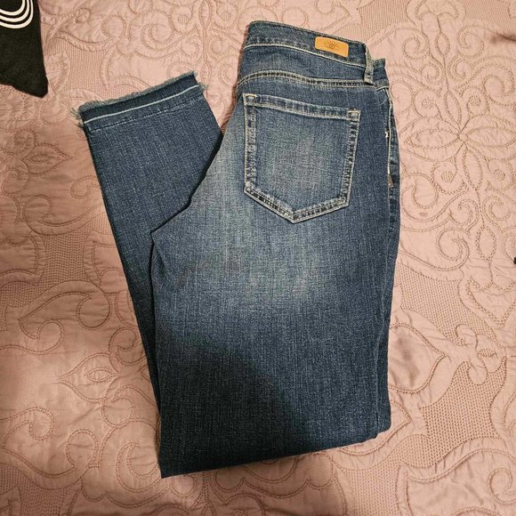 Sofia Vergara Jeans Bagi Mid Rise Boyfriend Size 2 - Picture 5 of 6